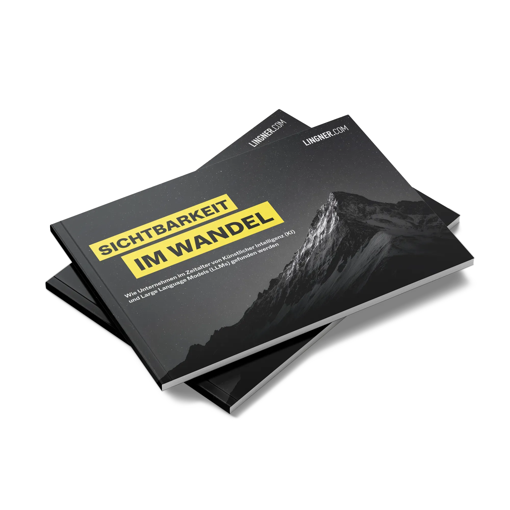 Lingner GEO Optimierung Whitepaper